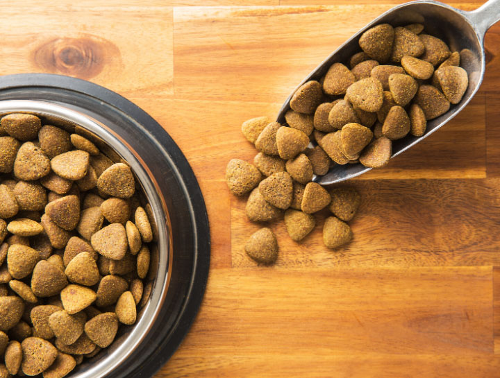 $City Animal Nutrition