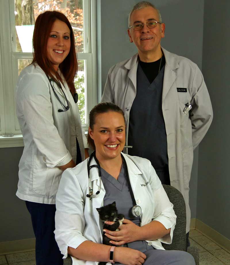 animal hospital in Erie